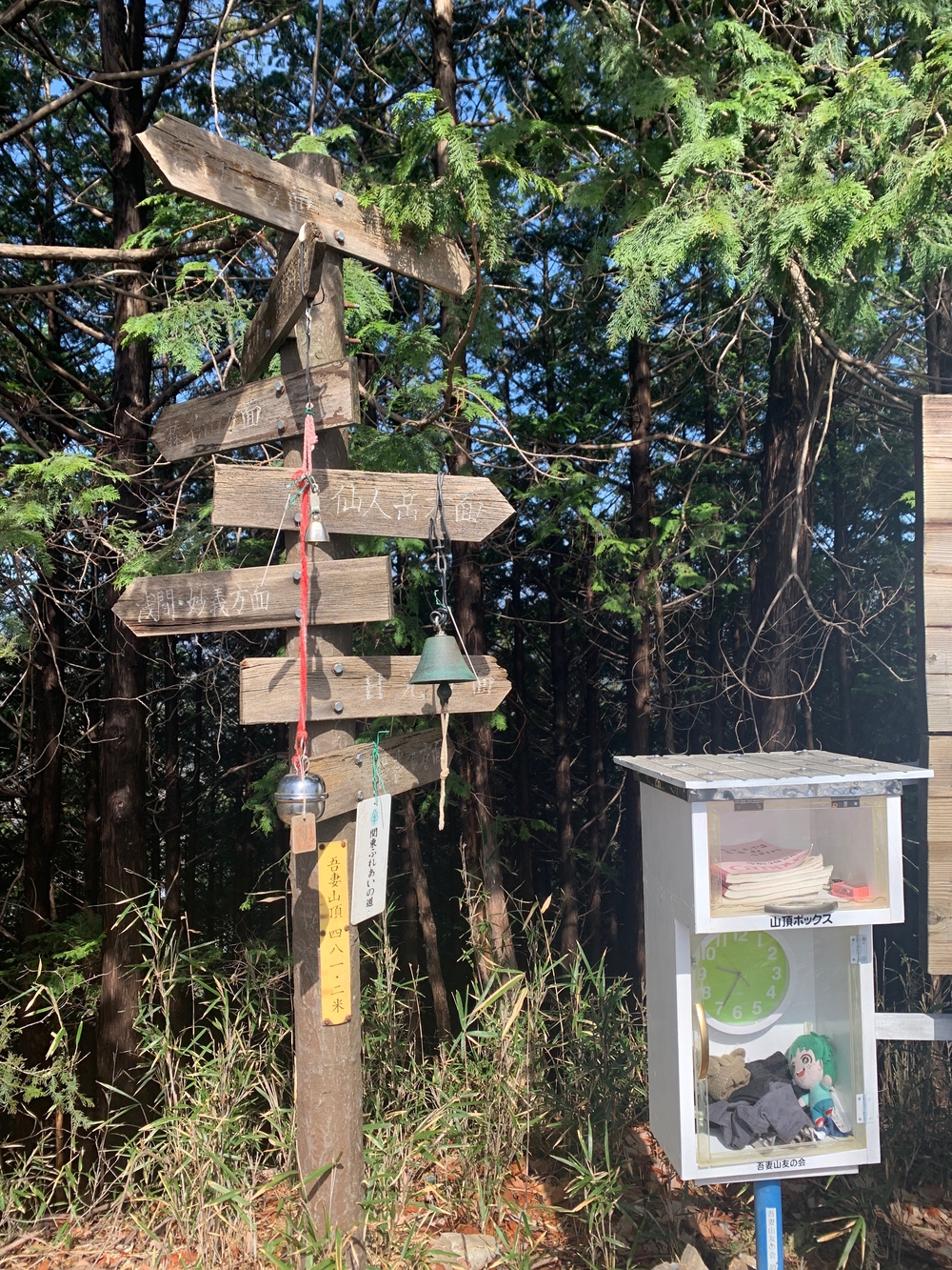 吾妻公園〜鳴神山ピストンの写真5