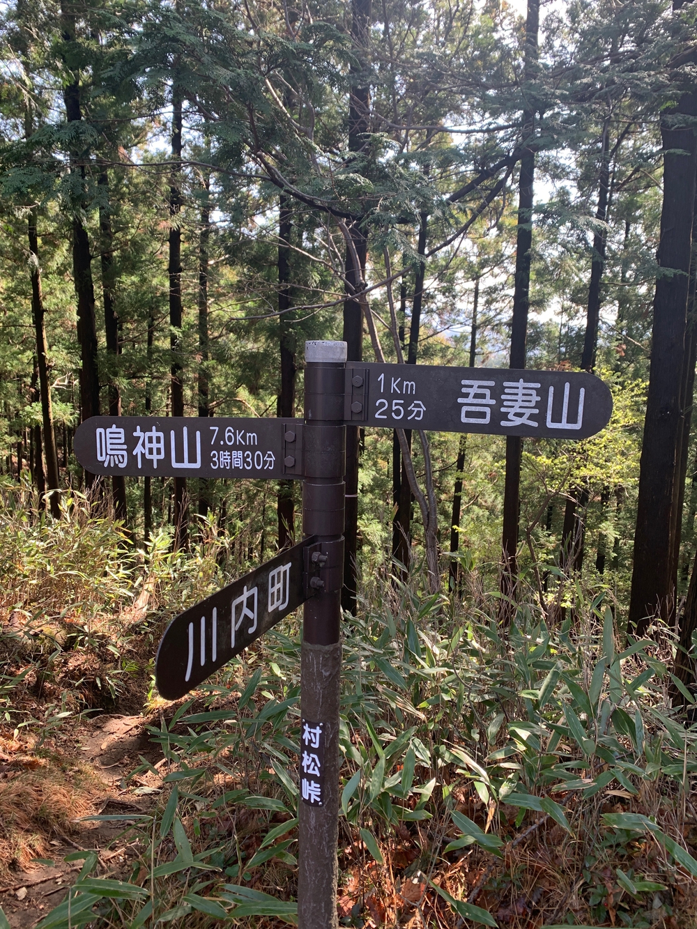 吾妻公園〜鳴神山ピストンの写真7