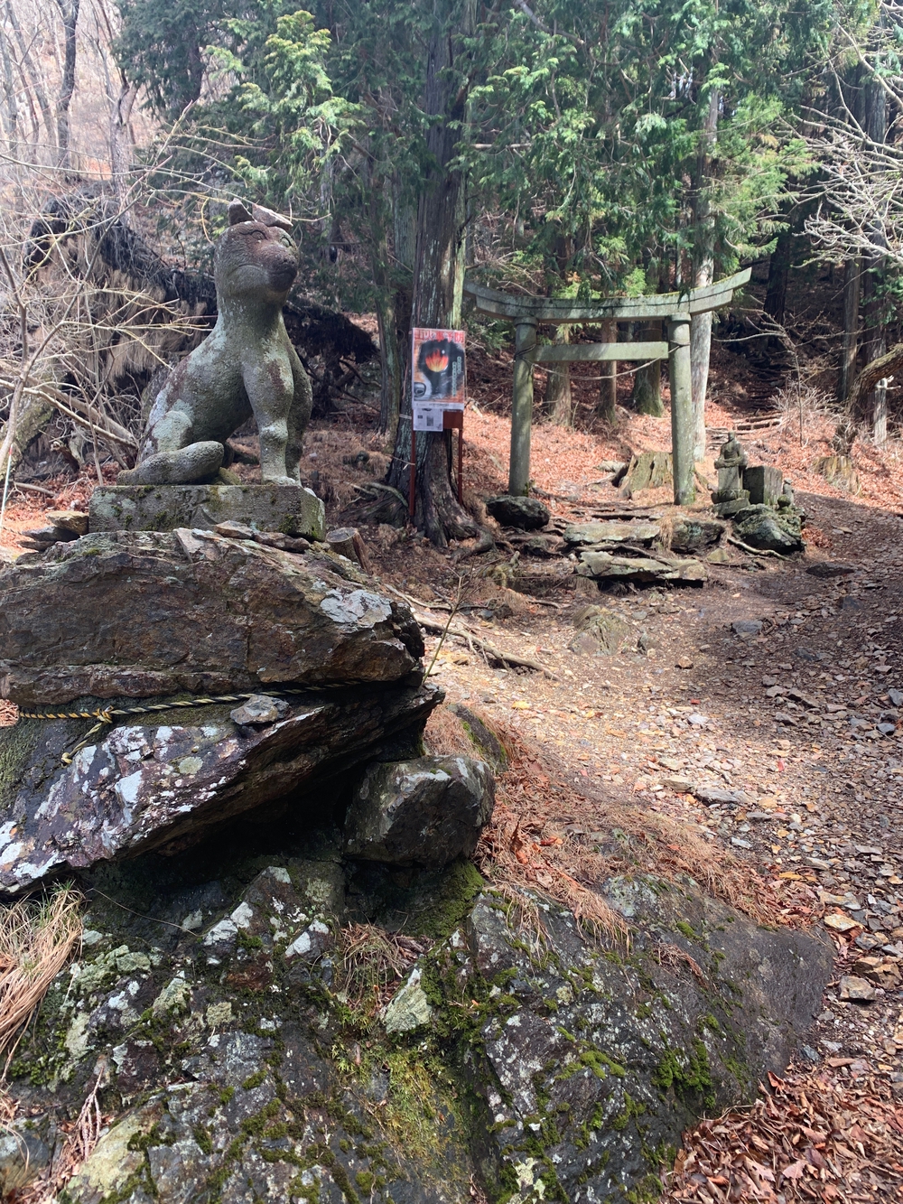 吾妻公園〜鳴神山ピストンの写真9