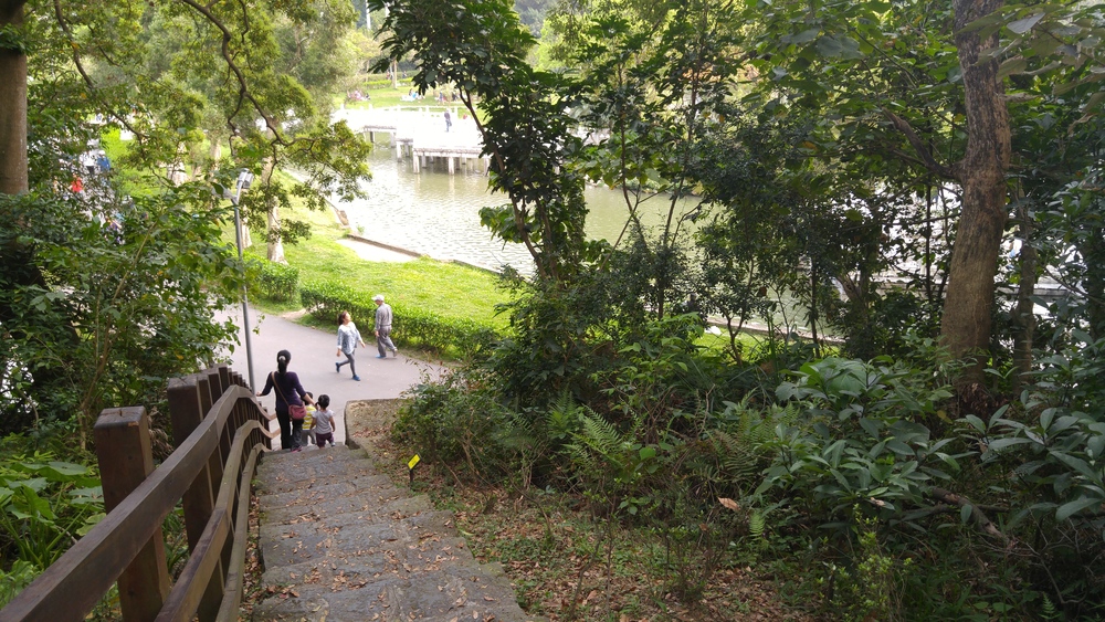 湖とプチトレイルと：台北碧湖公園の写真5
