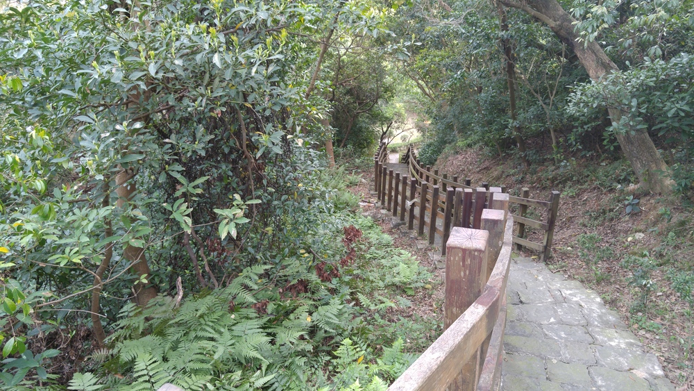 湖とプチトレイルと：台北碧湖公園の写真6