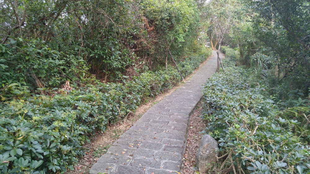 湖とプチトレイルと：台北碧湖公園の写真7