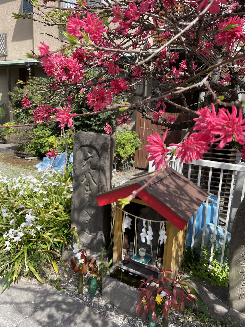 歌川広重と共にRUN 荒川の写真4