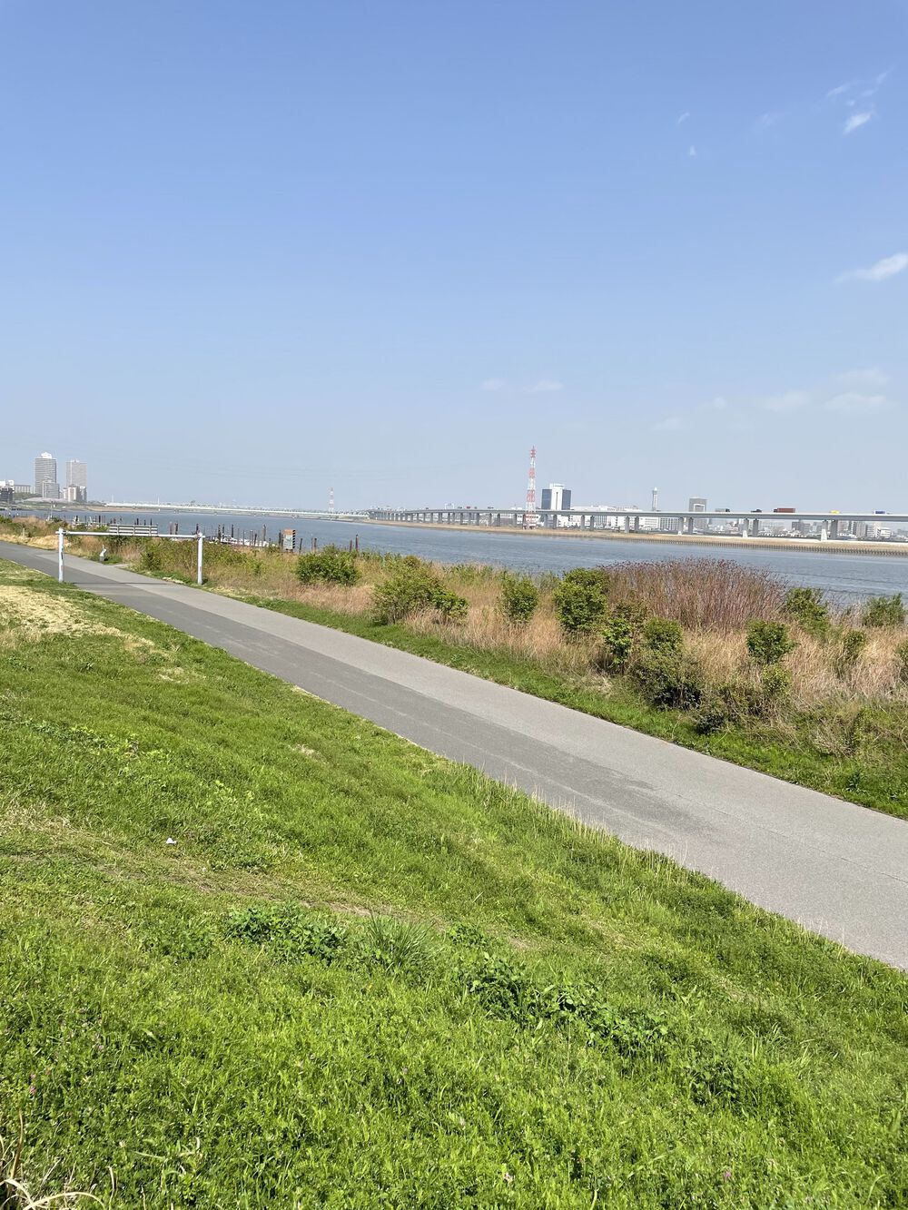 歌川広重と共にRUN 荒川の写真6