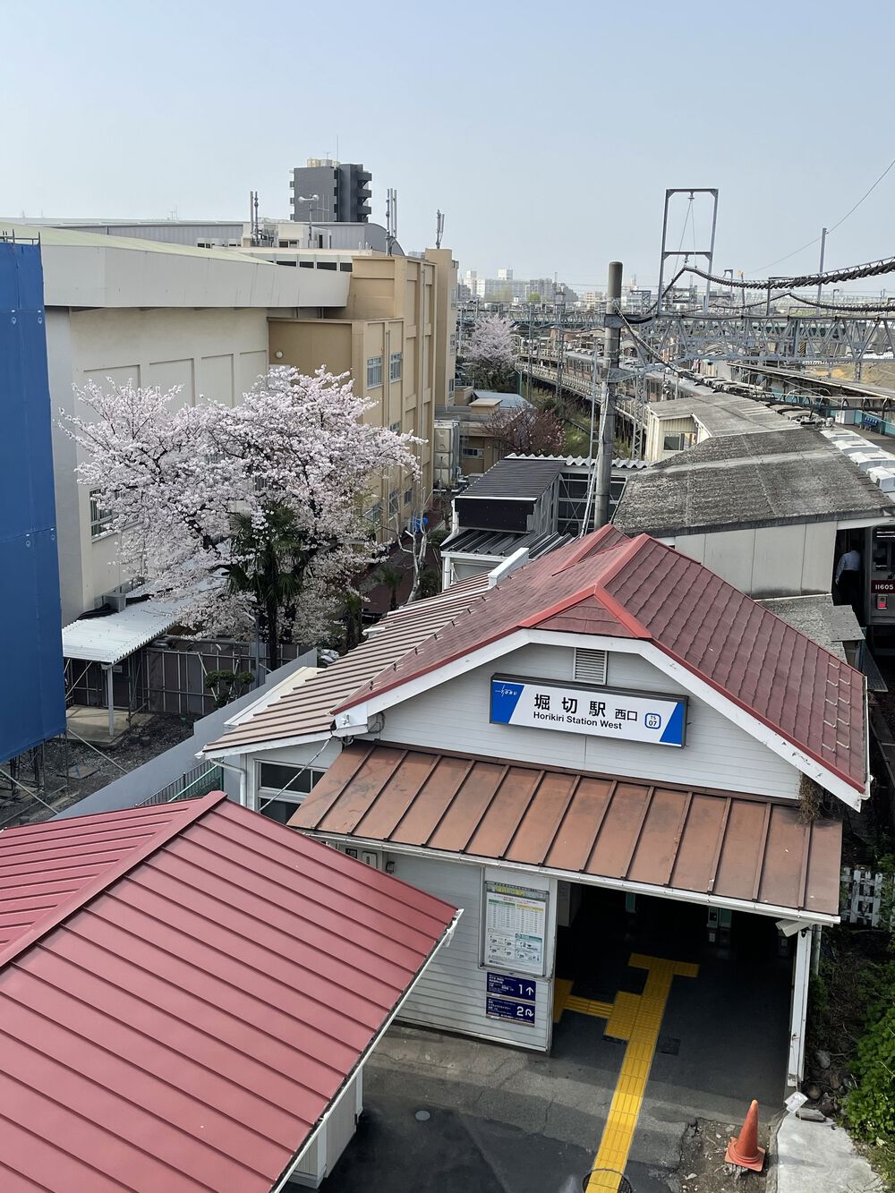 歌川広重と共にRUN 荒川の写真9