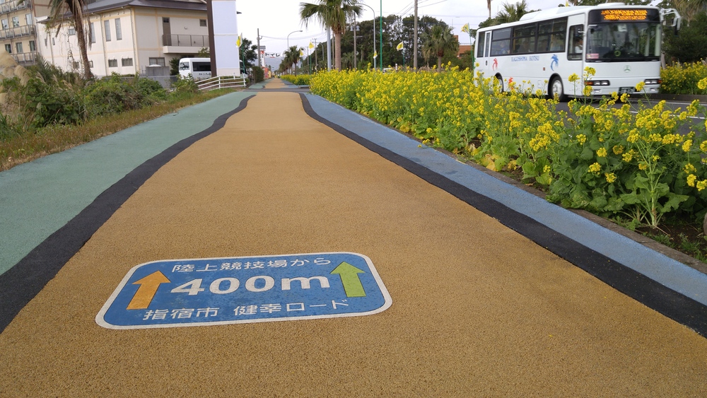 建築を見に行くラン：指宿 ふれあいプラザなのはな館の写真3