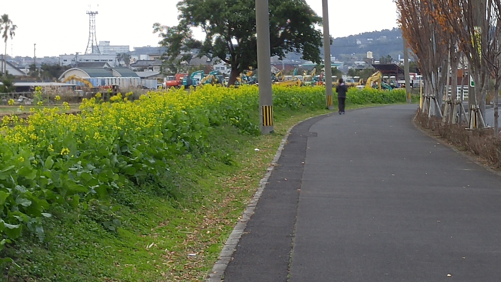 建築を見に行くラン：指宿 ふれあいプラザなのはな館の写真9