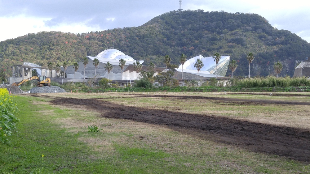 建築を見に行くラン：指宿 ふれあいプラザなのはな館の写真10