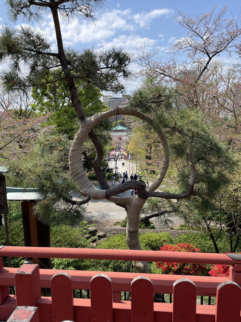 歌川広重と共にRUN 上野公園の写真3