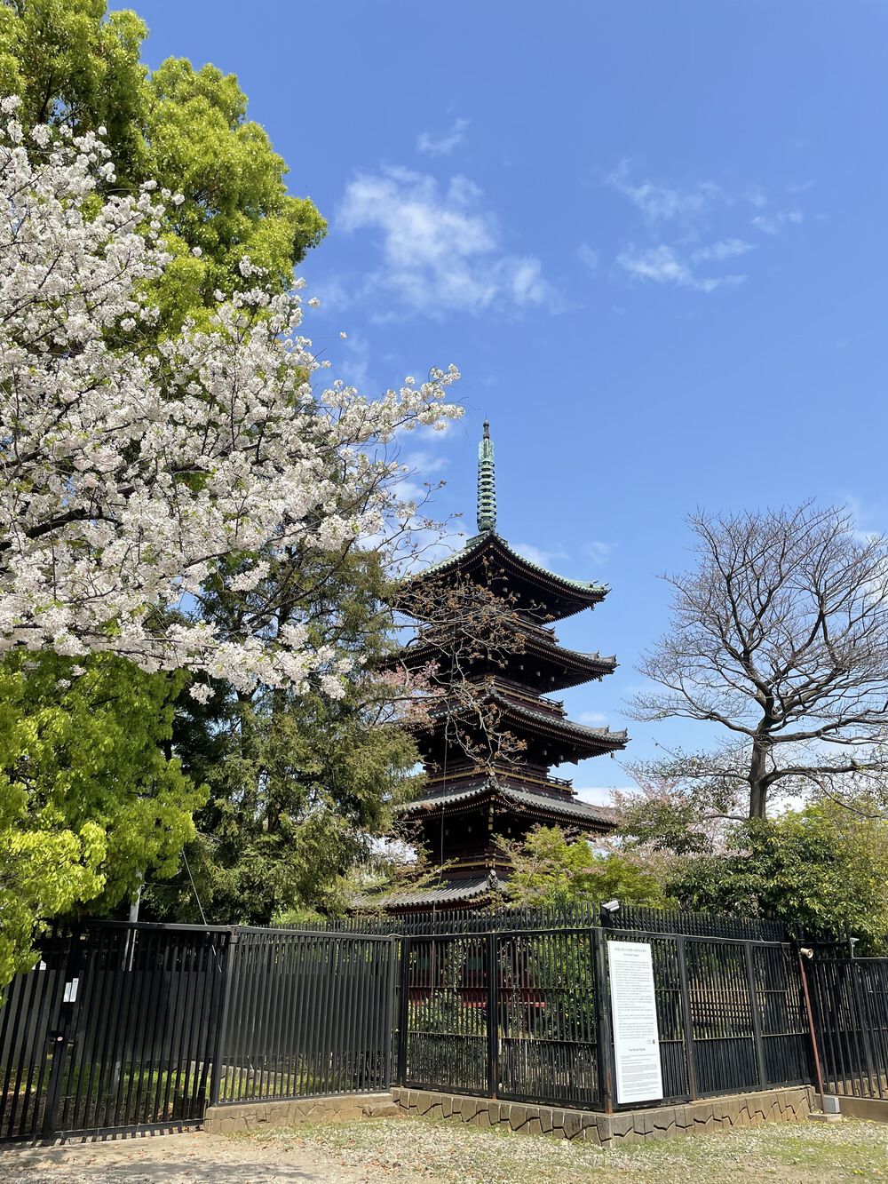 歌川広重と共にRUN 上野公園の写真5