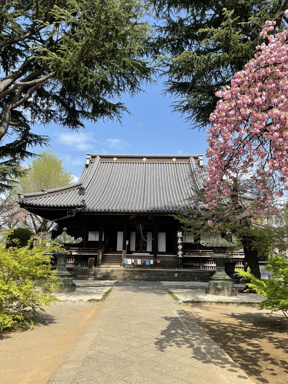 歌川広重と共にRUN 上野公園の写真7