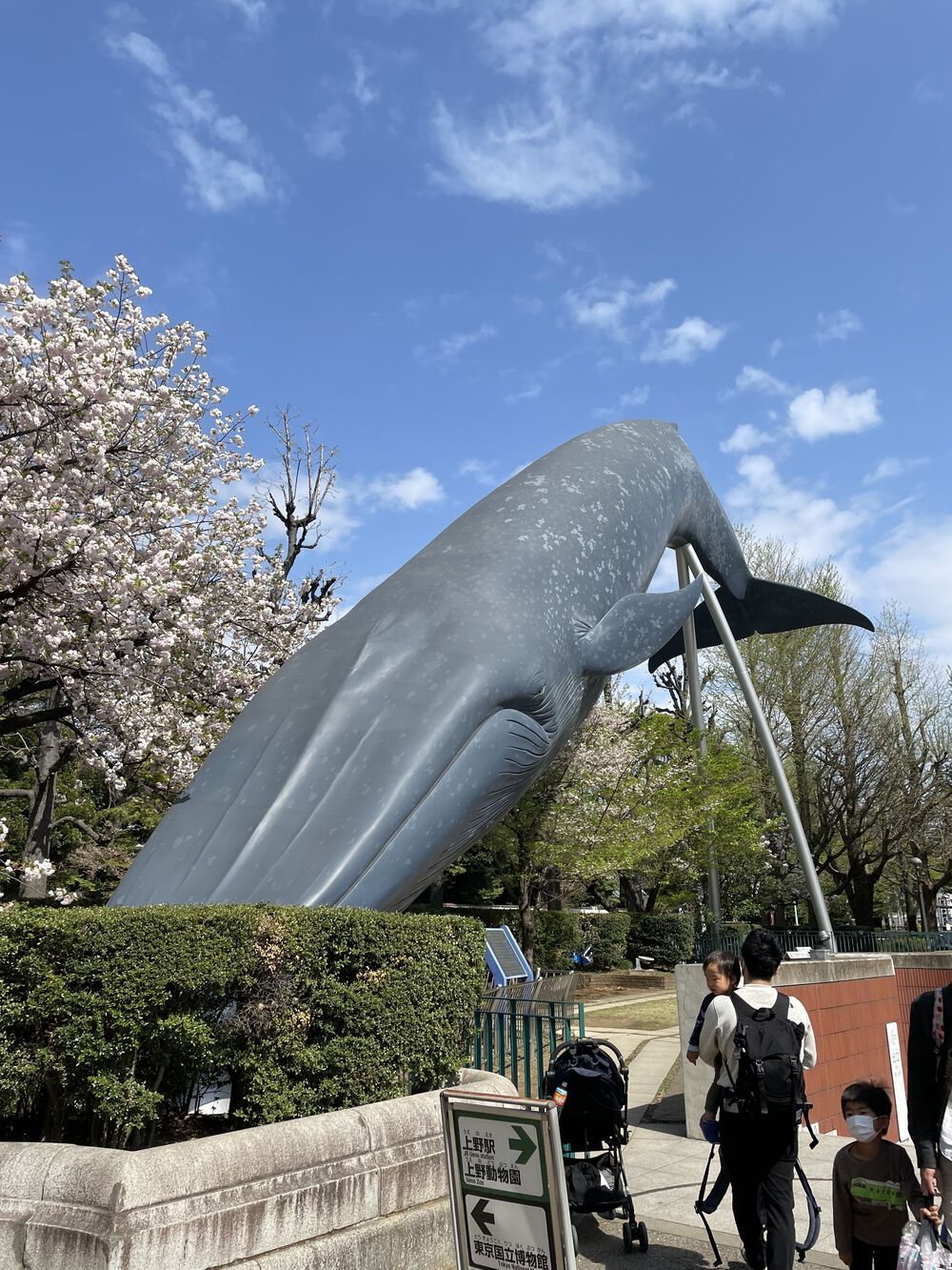 歌川広重と共にRUN 上野公園の写真9