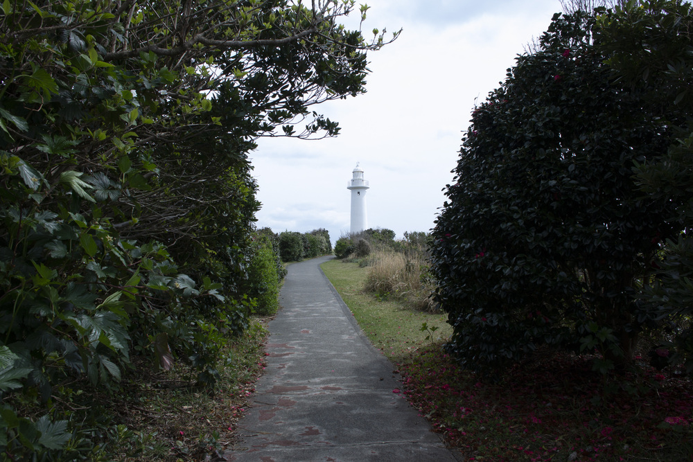 須崎遊歩道・恵比須島・爪木埼灯台の写真8