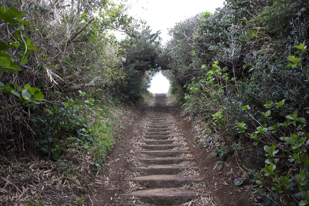 須崎遊歩道・恵比須島・爪木埼灯台の写真10