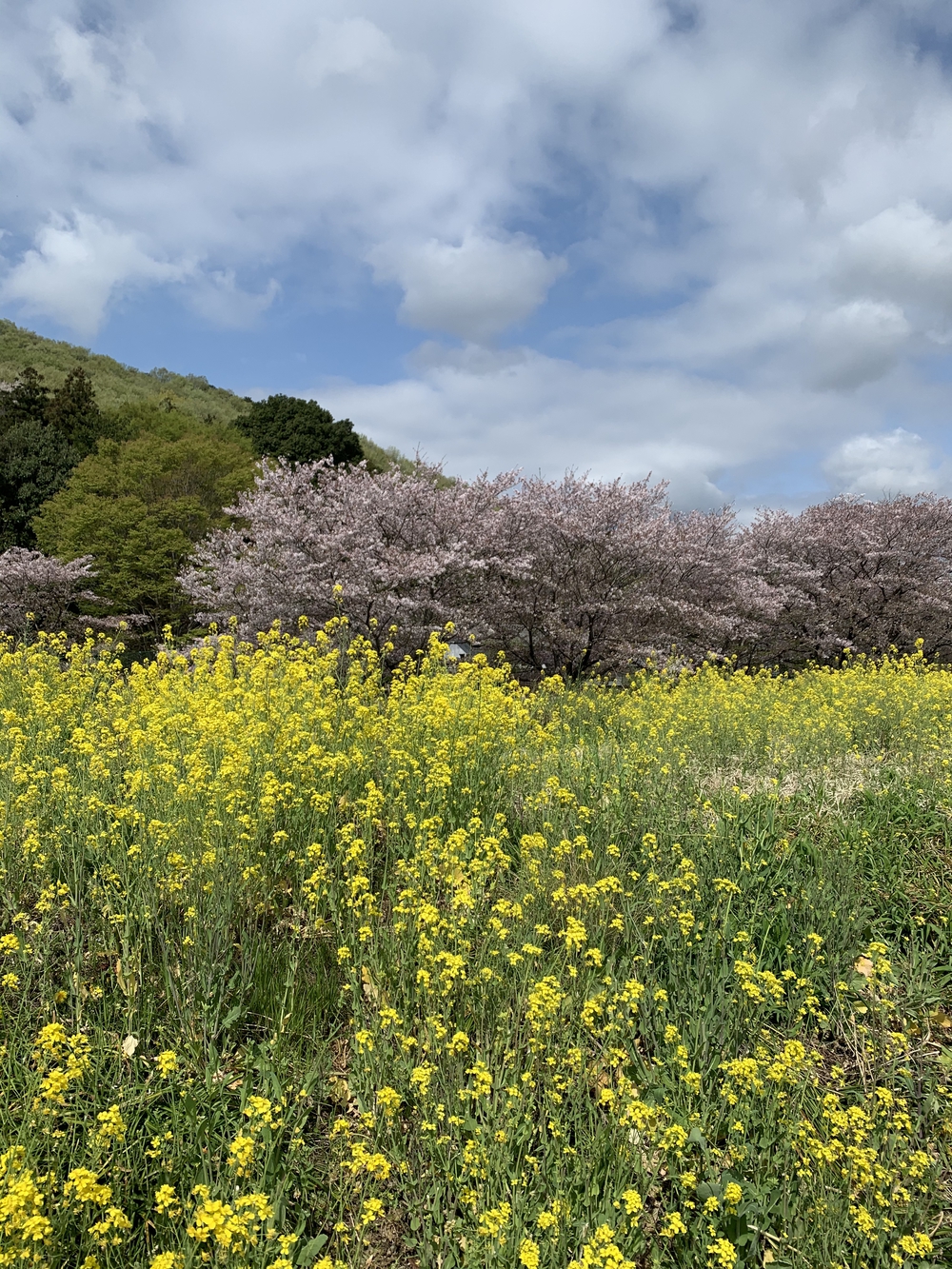 馬打峠⛰往復の写真4