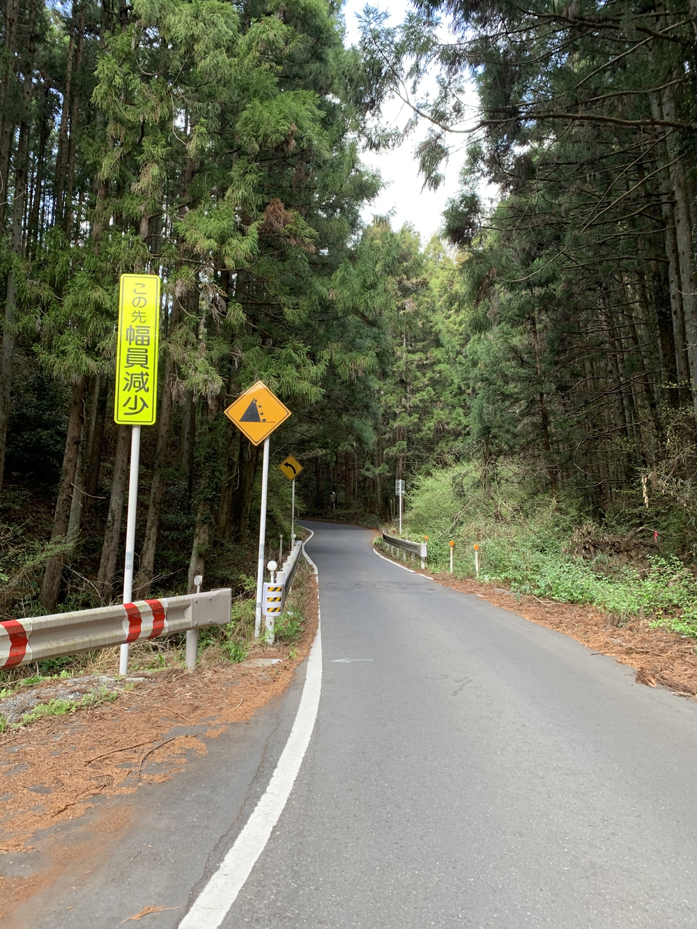 馬打峠⛰往復の写真5