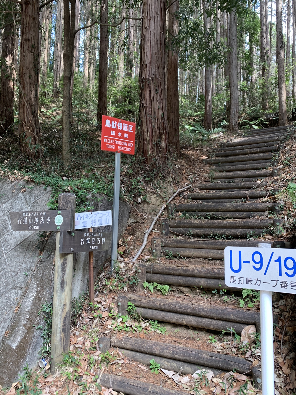 馬打峠⛰往復の写真6