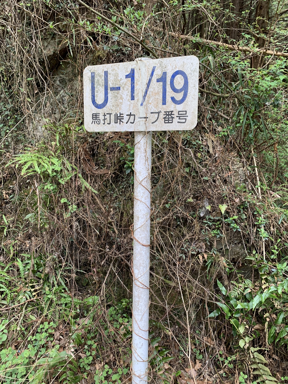 馬打峠⛰往復の写真7