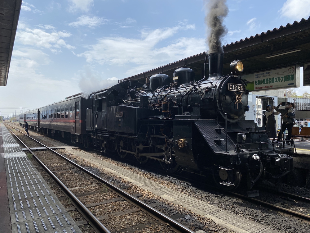 真岡〜益子、桜と葉の花とSLを求めて、仕上げはお酒？の写真6