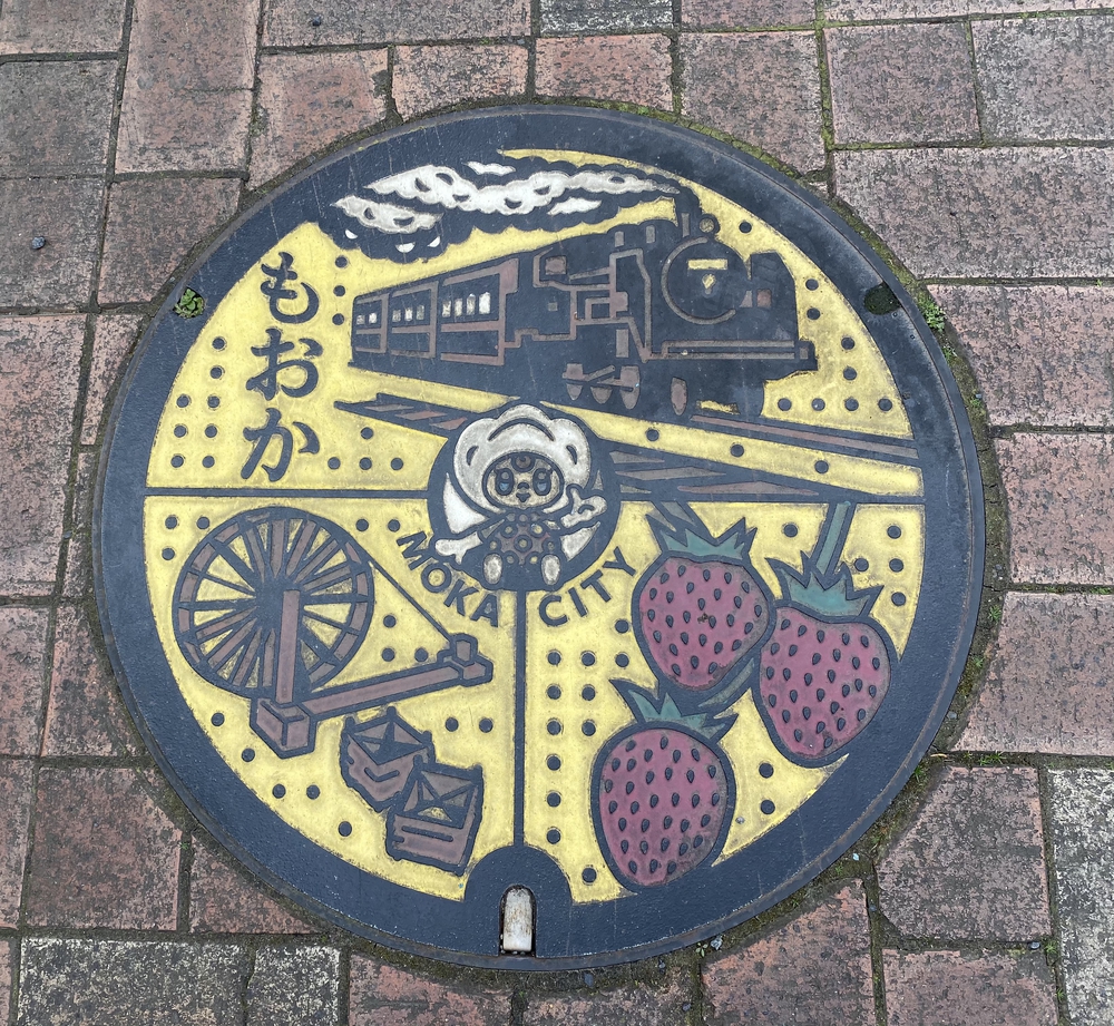 真岡〜益子、桜と葉の花とSLを求めて、仕上げはお酒？の写真7