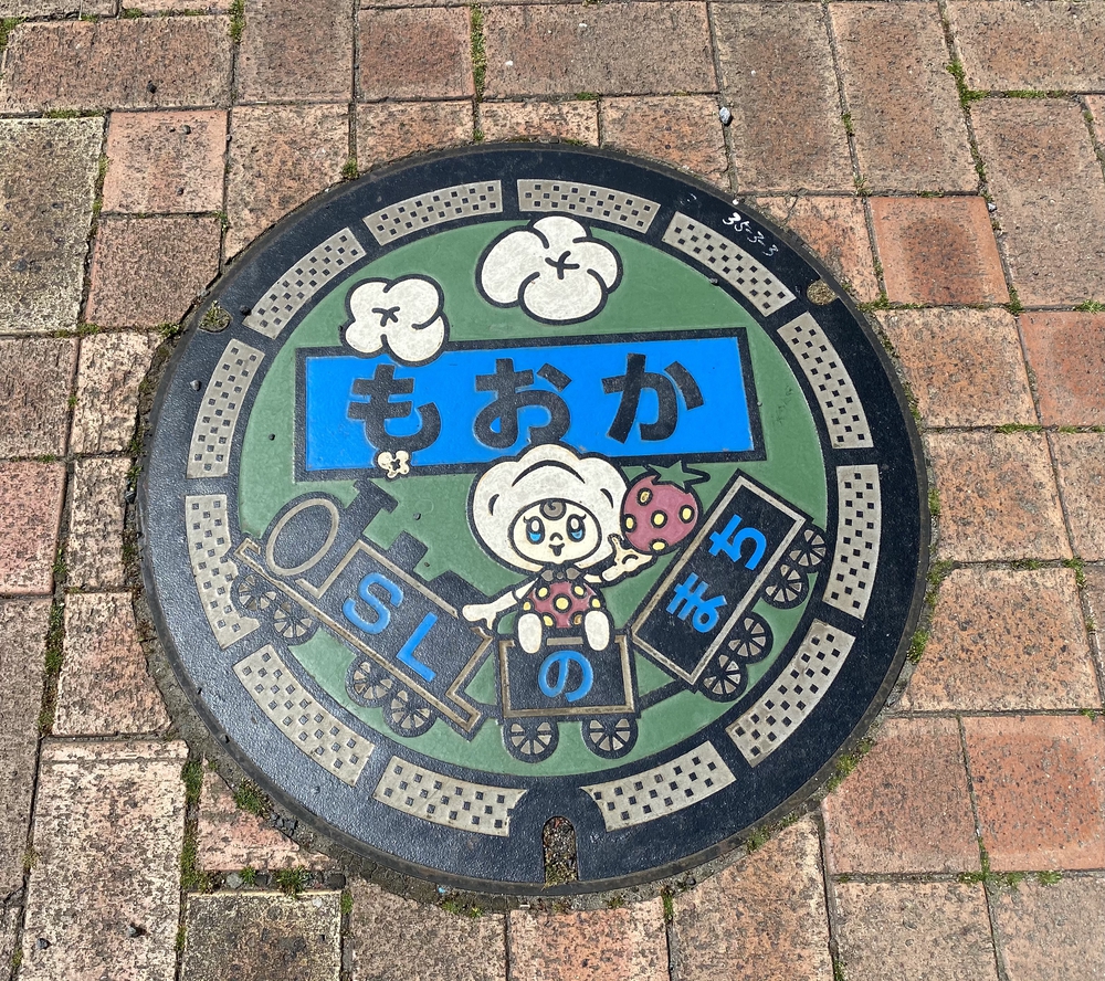 真岡〜益子、桜と葉の花とSLを求めて、仕上げはお酒？の写真8