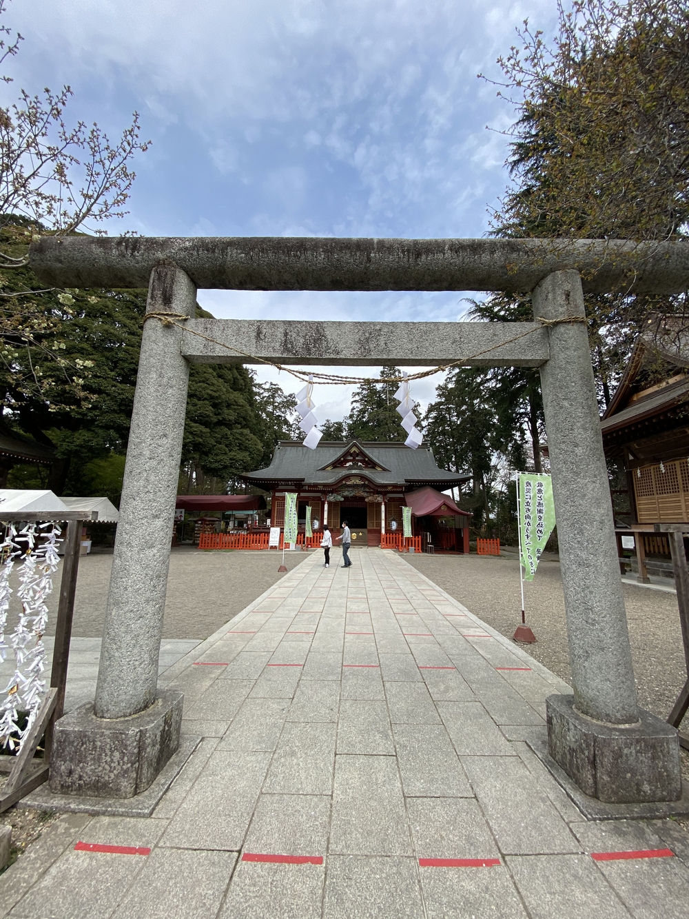 真岡〜益子、桜と葉の花とSLを求めて、仕上げはお酒？の写真15