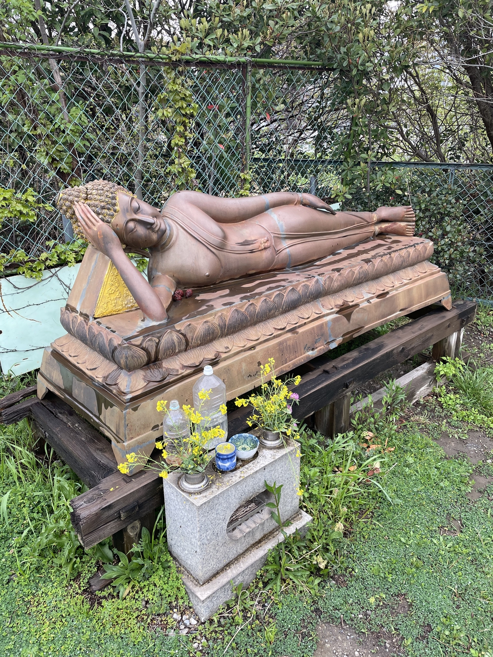 歌川広重と共にRUN 荒川〜川口の写真4