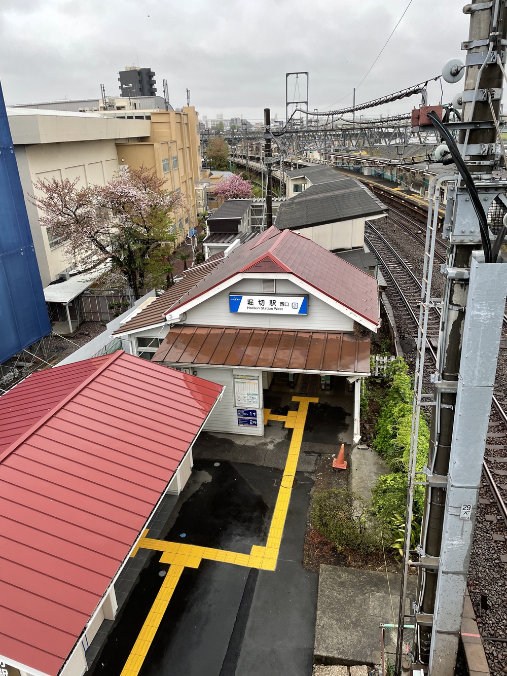 歌川広重と共にRUN 荒川〜川口の写真5