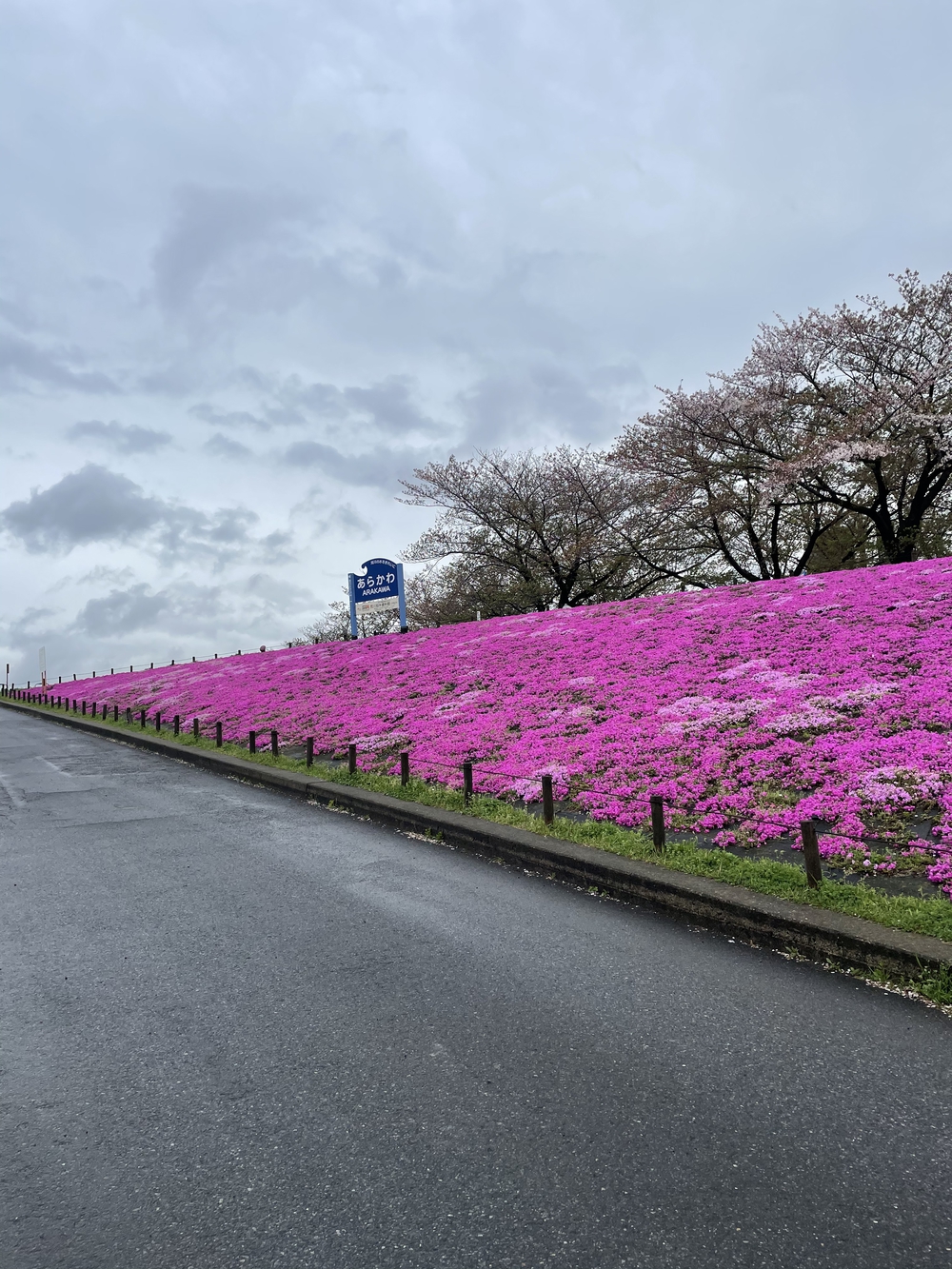 歌川広重と共にRUN 荒川〜川口の写真7