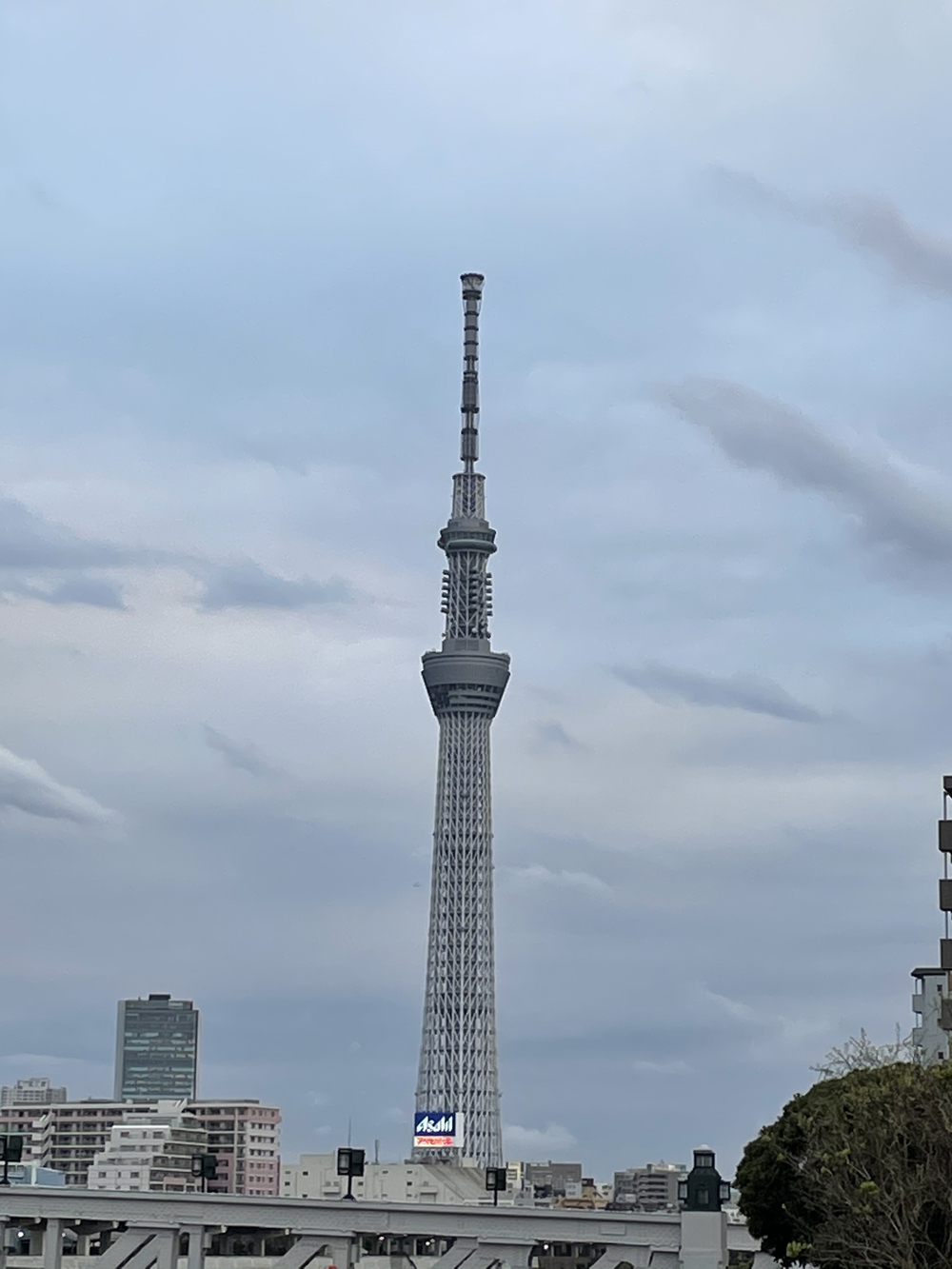 歌川広重と共にRUN 荒川〜川口の写真8
