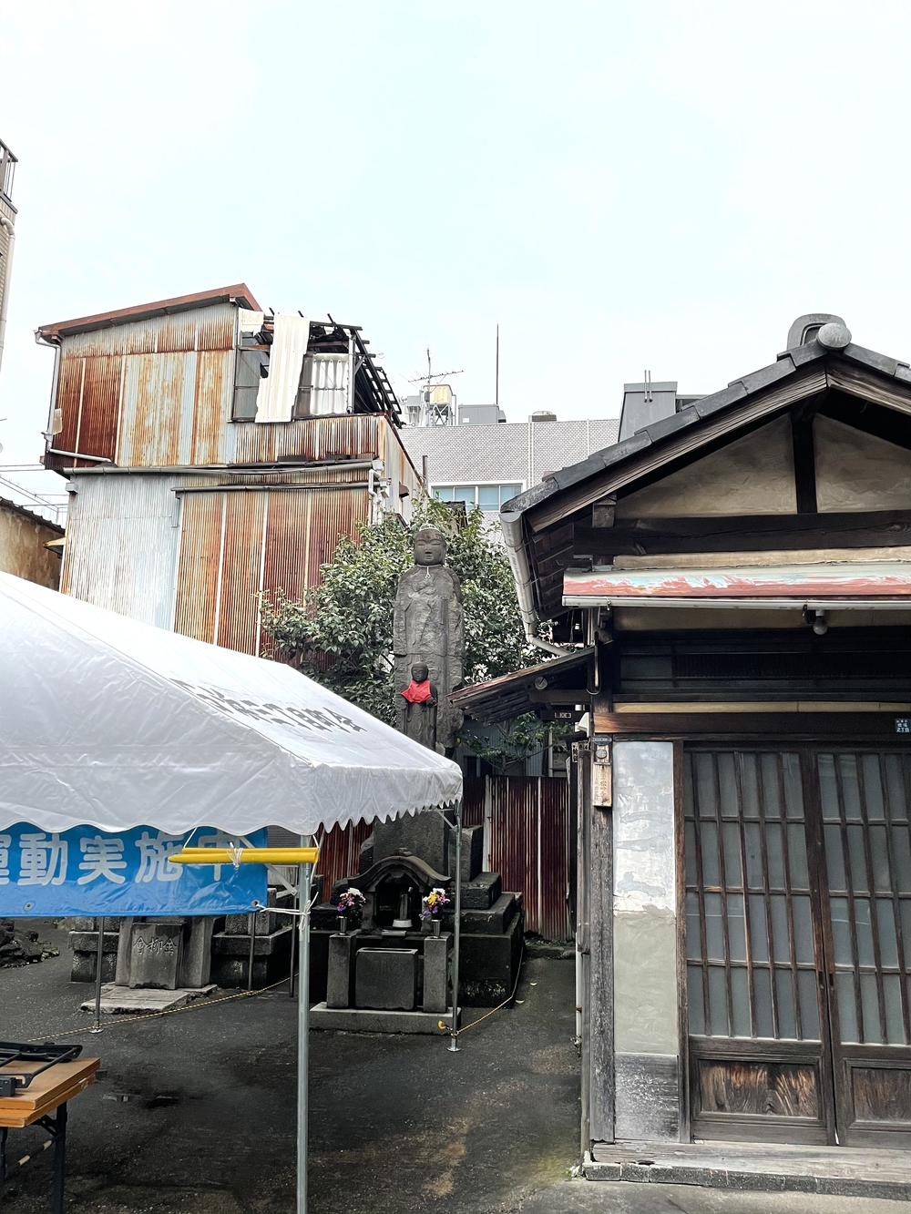 歌川広重と共にRUN 荒川〜川口の写真9