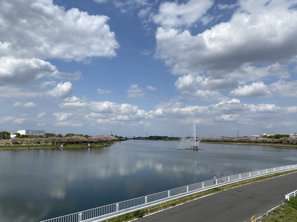 幸手駅起点の幸手権現堂花見ラン（日光道中経由）の写真9