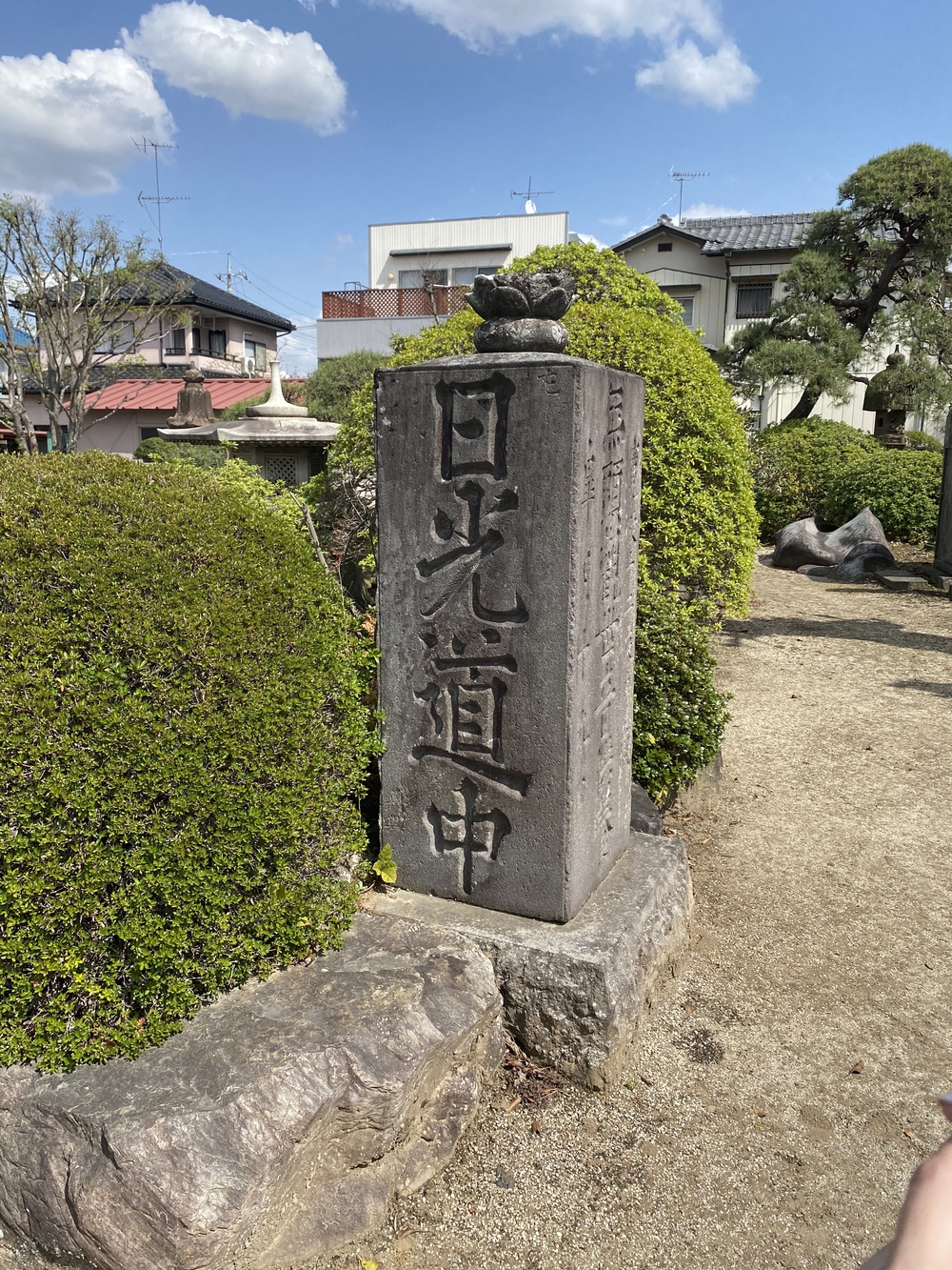 幸手駅起点の幸手権現堂花見ラン（日光道中経由）の写真13
