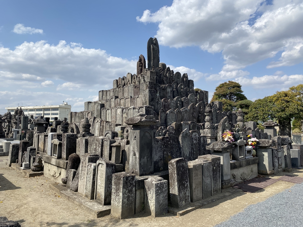 幸手駅起点の幸手権現堂花見ラン（日光道中経由）の写真14