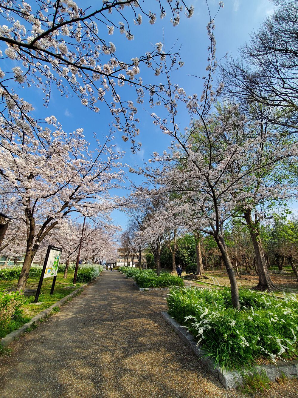 名古屋市内のプチトレイルコース🔰の写真3