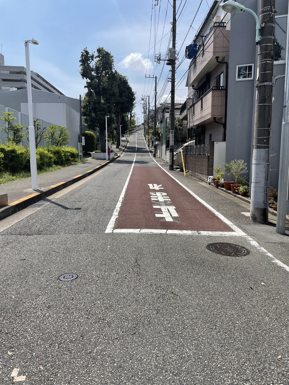 歌川広重と共にRUN 目黒川の写真8