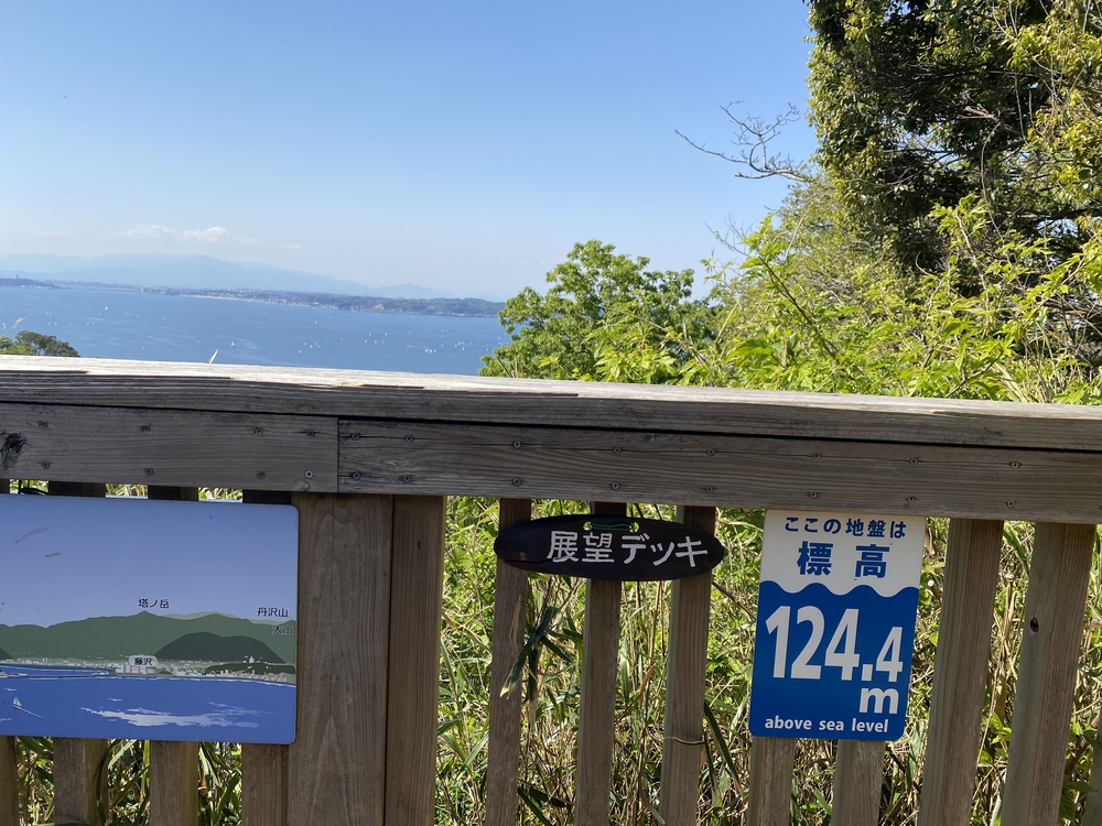 プチトレイルやカフェの誘惑もあるよ@逗子葉山の写真5