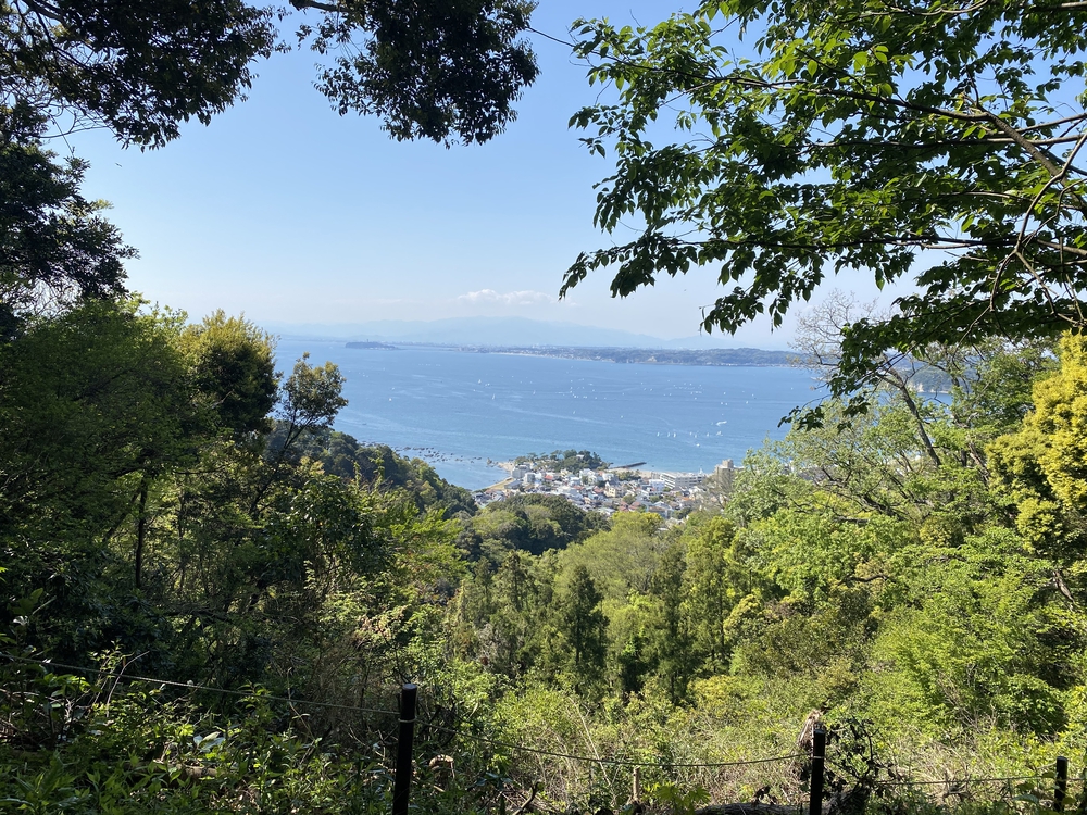 プチトレイルやカフェの誘惑もあるよ@逗子葉山の写真6