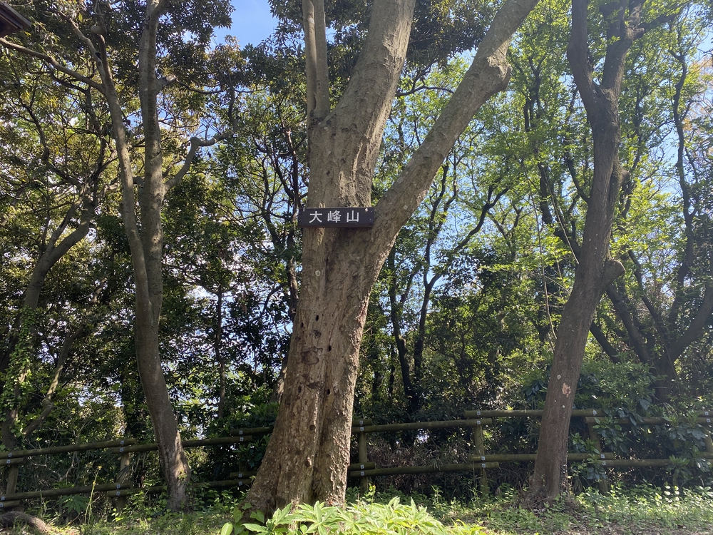 プチトレイルやカフェの誘惑もあるよ@逗子葉山の写真7