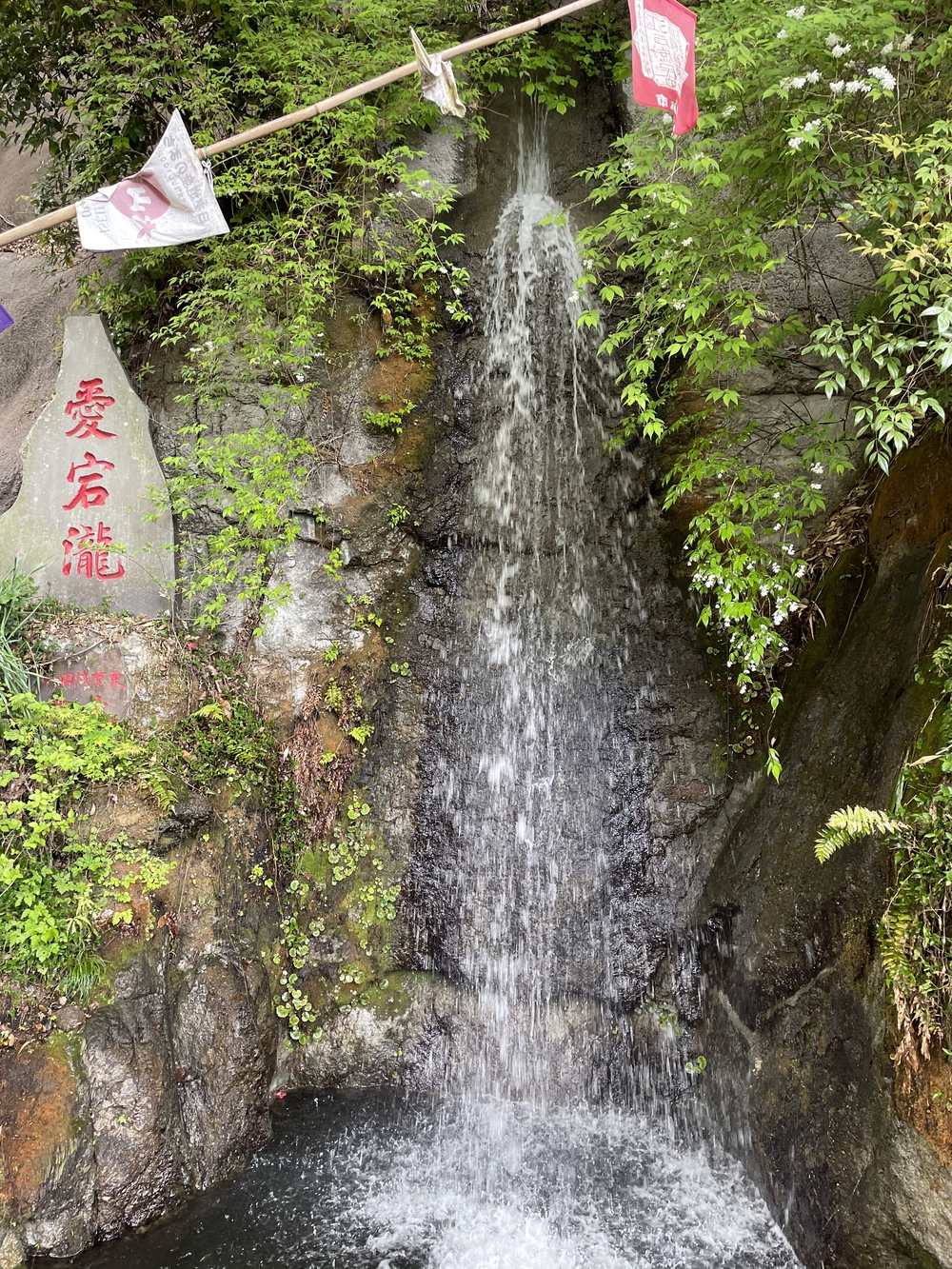 歌川広重と共にRUN 大山の写真5