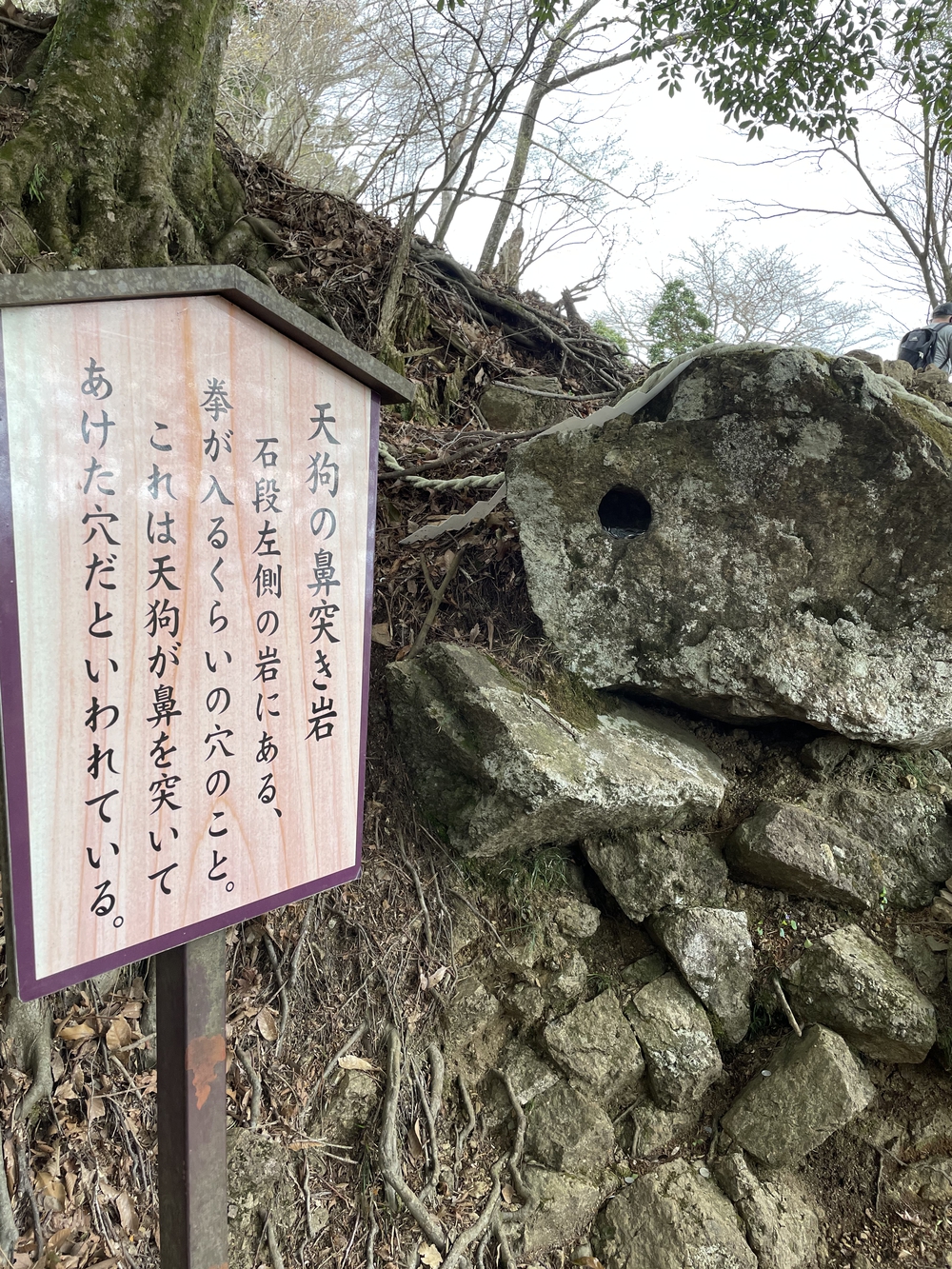 歌川広重と共にRUN 大山の写真11
