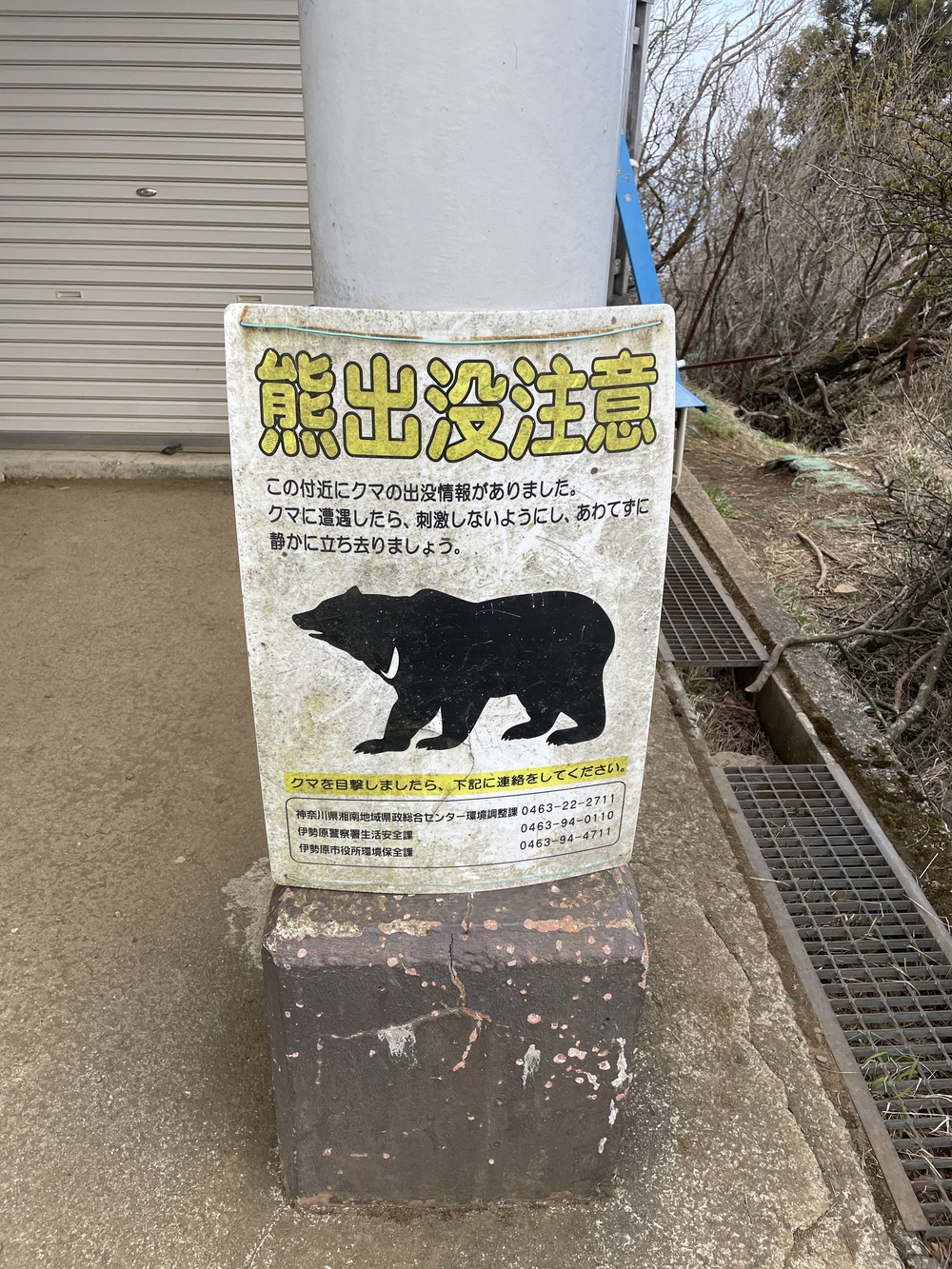 歌川広重と共にRUN 大山の写真13