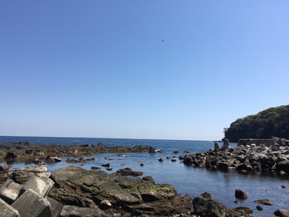真鶴半島と真鶴の幸と温泉の写真3