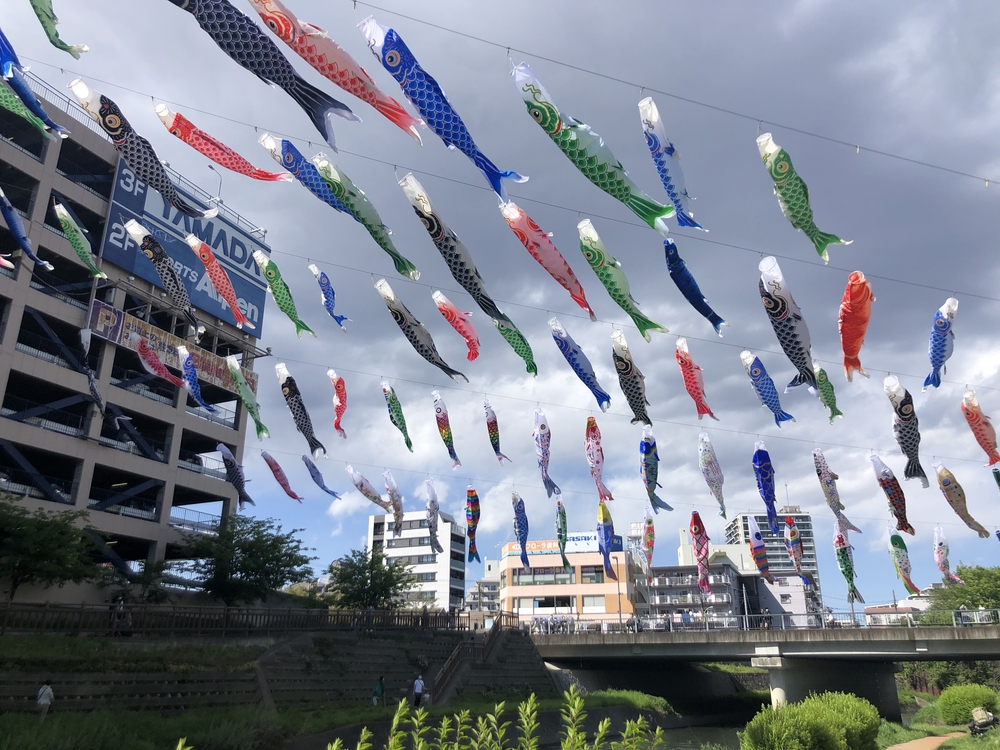 ★お絵描きラン【54】鯉のぼり〈川口市〉★の写真3