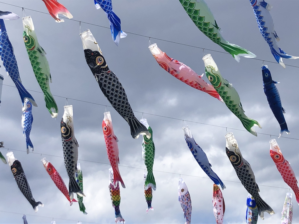 ★お絵描きラン【54】鯉のぼり〈川口市〉★の写真4