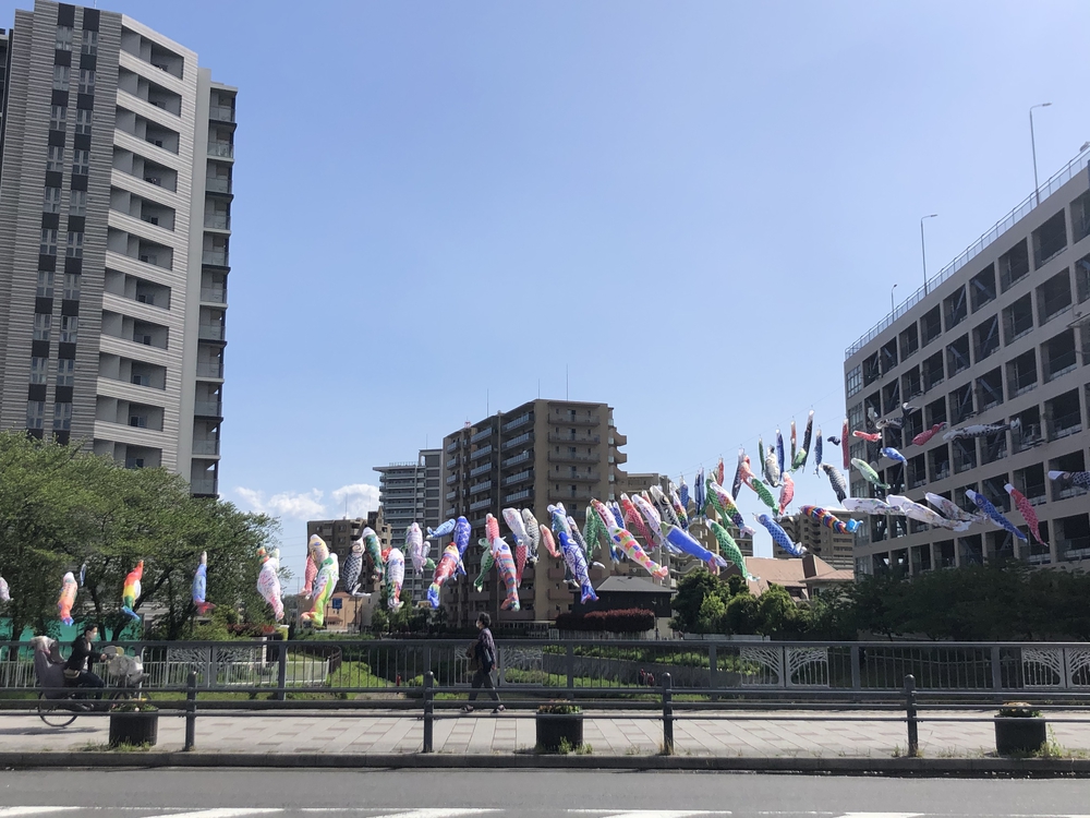 ★お絵描きラン【54】鯉のぼり〈川口市〉★の写真5