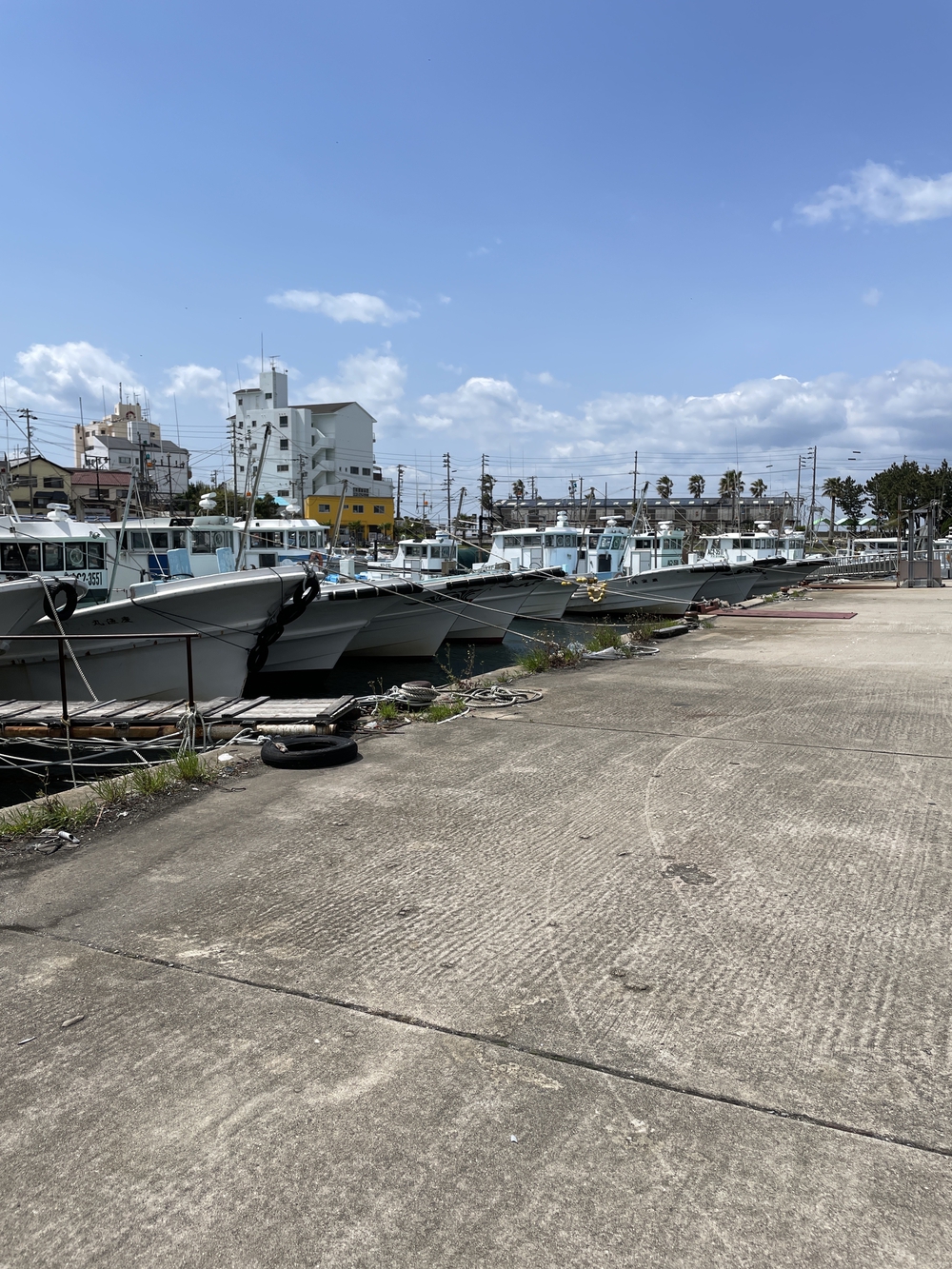 日間賀島周回コースの写真8