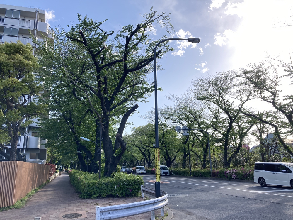 環八〜R17〜R254〜光ヶ丘の写真3