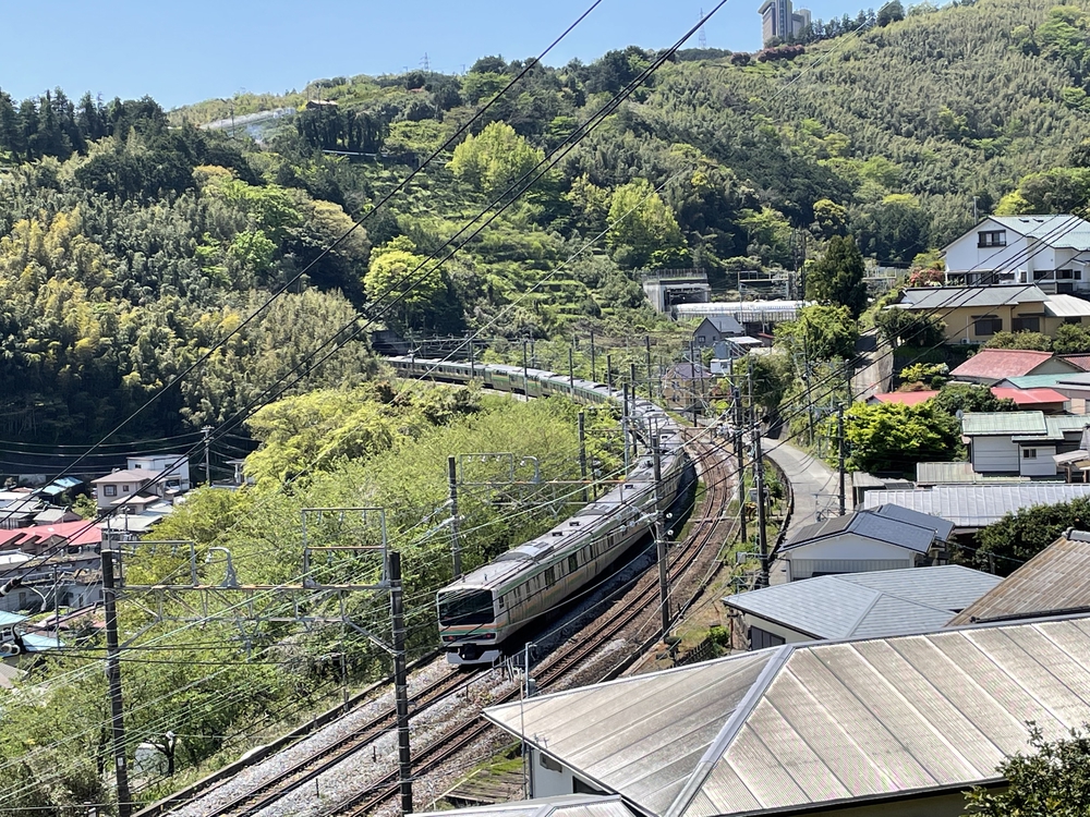 海と蜜柑の丘と撮り鉄とピザの遠足ランの写真7