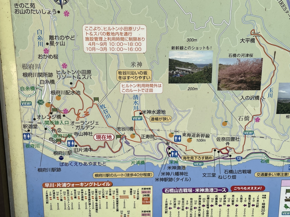 海と蜜柑の丘と撮り鉄とピザの遠足ランの写真8